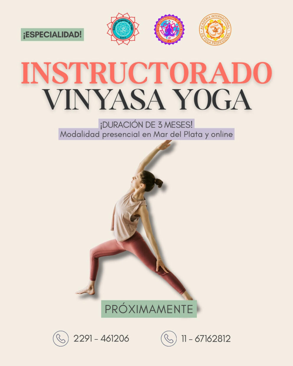 ESPECIALIZACIÓN VINYASA YOGA